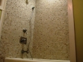 River Forest Bathroom After-View 1