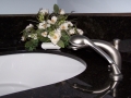 River Forest Bathroom Renovation