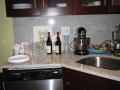 Chicago Condo Kitchen-View 1