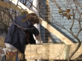 Oak Park Historic District Porch Replacement-View 1