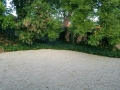 Back Yard After