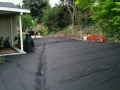Back Yard Before-View 1