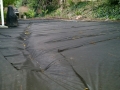 Back Yard Before-View 2