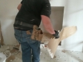 Demo of 2nd Floor Bath