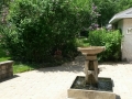 Backyard (4)