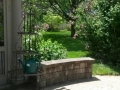 Backyard (5)