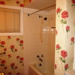 River Forest Bathroom (Before) View 1